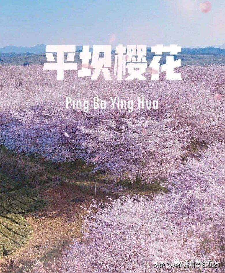 错换人生28年：姚威撤诉不表明背叛了许妈，也不能证明杜妈清白